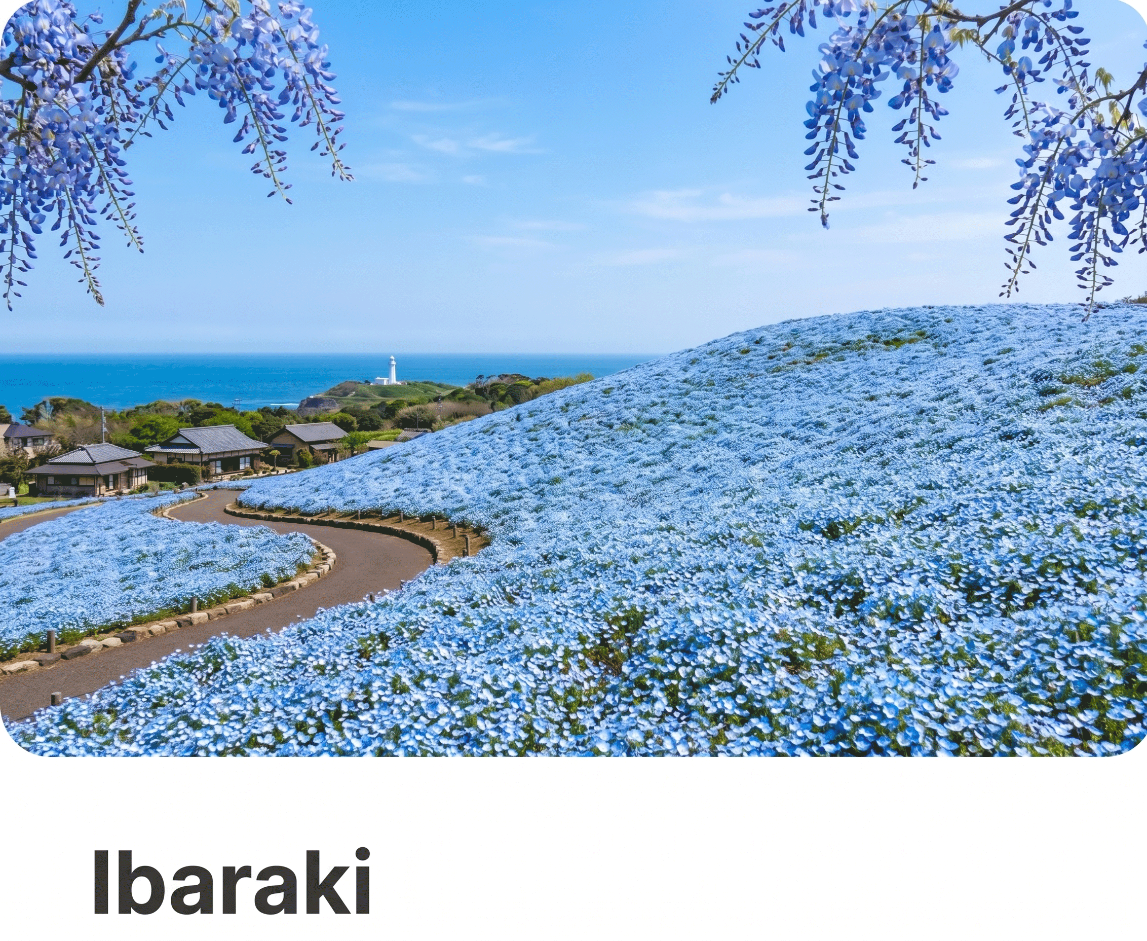 Ibaraki