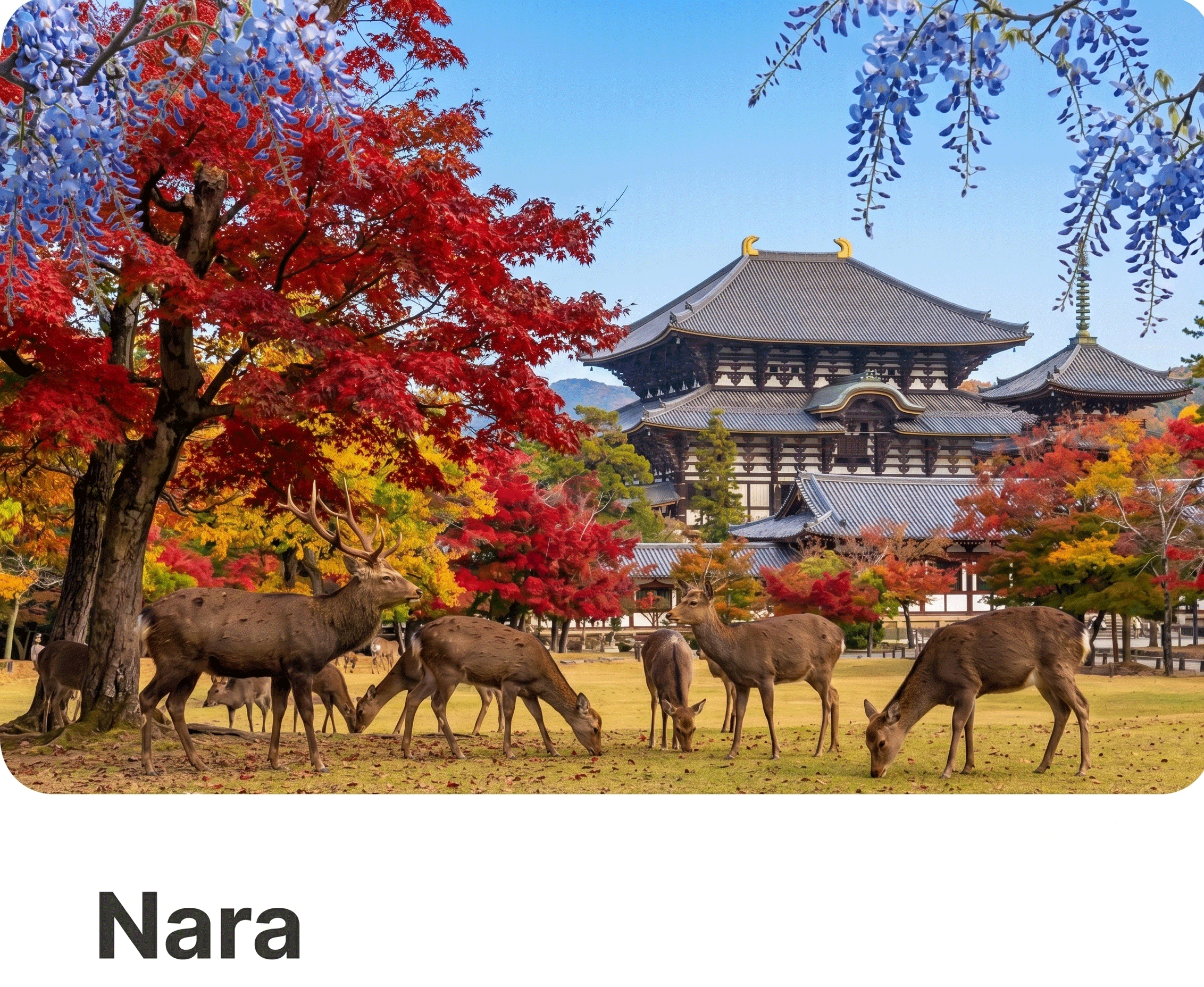Nara