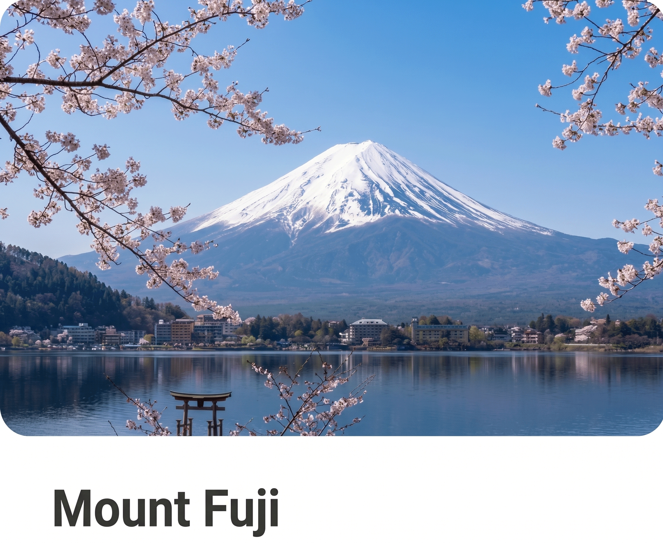 Mount Fuji